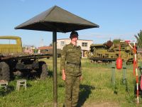 Фас в очередном наряде