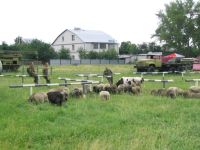 Выравнивание газона по-армейски