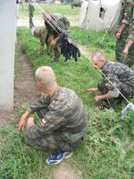 Выравнивание газона по-армейски