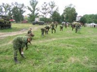 Подстригаем газон