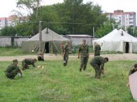 Подстригаем газон