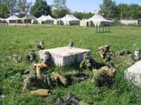 Слоники притаились