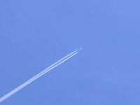 Местный истребитель